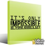 It´s only imposible